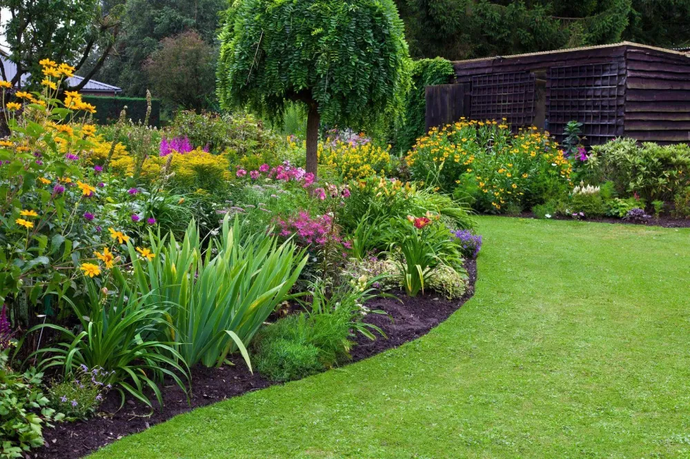 Création de jardinwebp